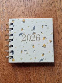 Há vários anos que não utilizo uma agenda física. Adoro escrever à mão e tenho cadernos e journals, onde planeio os meus livros, escrevo notas e organizo ideias, mas rendi-me ao calendário digital desde o momento em que comecei a utilizá-lo.

Uma das razões pelas quais deixei de utilizar agendas físicas prende-se com os dias vazios, em que não escrevia nada, sobretudo porque me esquecia. 🫣 Fazia-me impressão ver dias sem nada escrito.

Contudo, certo dia, encontrei esta agenda pequenina amarela, e encantei-me pelo quão pequenina e portátil é. 🤩 Cabe na minha mão e posso levá-la para todo o lado.

Mas é por isso que vou voltar a utilizar uma agenda? Não. 🤭 Na verdade, tenho um plano diferente: em cada dia, quero escrever um pensamento, uma ideia para uma história, uma nota. No final, terei um mosaico de ideias e observações de cada dia do ano. 🥰

Hoje, vou estrear a agenda com a primeira nota!

Defendo que todos os escritores devem ter sempre consigo um caderno onde anotem ideias, notas, observações ou pensamentos. Eu tenho o meu, onde escrevo sempre que quero, e agora esta agenda também, onde vou criar algo novo todos os dias. 💙

🤗 O que achas desta ideia? 

#escritacriativa #escrever #agenda2026 #notas

Escrita | Escrever | Ideias | Agenda | Registo de observações | Journaling | Escritores | Escrita de livros